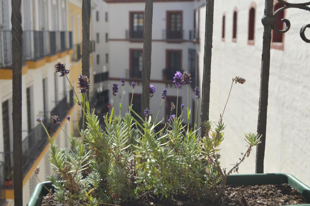 Isg Apartments Precioso Atico Con Terraza Privada En El Centro Sevilla Eksteriør bilde